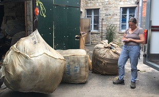 L'association Laine Rebelle tente de recréer la filière de la laine dans les Alpes-Maritimes.