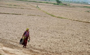 Les pluies de la mousson qui s'abattent chaque été en Inde sont arrivées cette année avec retard et parcimonie, faisant craindre un risque de sécheresse qui pourrait s'avérer catastrophique pour des centaines de millions de paysans