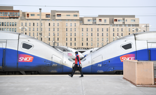 Deux rames de TGV en gare de Marseille le 3 avril 2018.