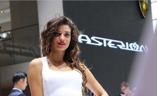 Hotesse du Mondial de l'auto 2014