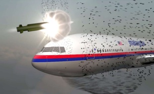 Le 17 juillet 2014, le Lien : vol 17 Malaysia Airlines reliant Amsterdam à Kuala Lumpur était abattu en vol dans la région de Donetsk.