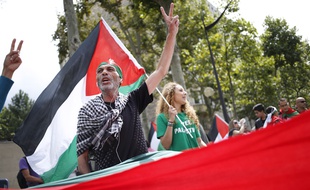 Manifestation pro-palestinienne à Paris, le 9 août 2014.
