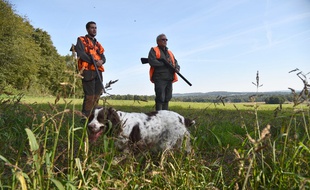 Des chasseurs lors de l'ouverture de la chasse en septembre 2018.