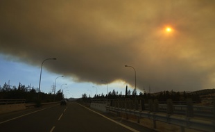 Un incendie ravage le sud de Chypre depuis le samedi 3 juillet 2021.