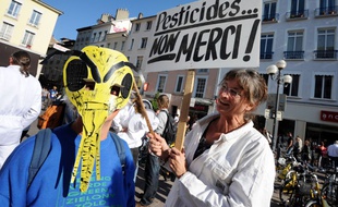 Des manifestants contre le pesticide Cruiser touchant les abeilles, le 15 octobre 2011 à Grenoble