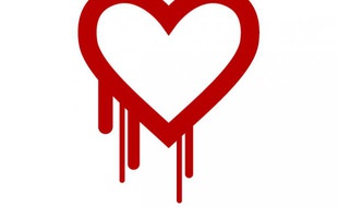 Le logo officiel du bug «heartbleed», qui affecte le protocole OpenSSL.