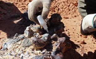 Un archéologue travaillant sur un fossile au parc national d'Ischigualasto dans la province de San Juan, en Argentine, le 8 avril 2019.