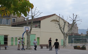 Le 13 NOVEMBRE 2015 à Marseille L'association Zebra accueille des adolescents