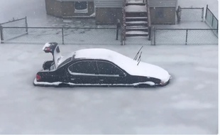 Après une inondation et la baisse de température, une rue de la ville de Revere s'est retrouvée congelée.