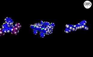 Des exemples de molécules-voitures assemblées pour la course.