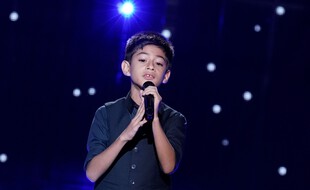 Ilan avait interprété la chanson Les Feux d'artifice, de Calogero, lors des auditions à l'aveugle