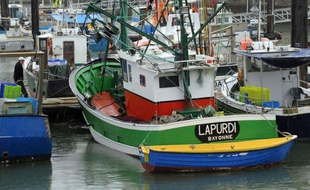 Un cortège peu habituel, arrimé à un bateau de pêche du port de Saint-Jean-de-Luz examine à la loupe son moteur: il est composé d'universitaires finlandais, qui entendent bien importer le mécanisme permettant de le faire carburer à l'huile de tournesol pure.