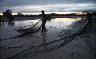 Des pêcheurs installent leurs filets au lever du soleil dans le village de Joyeux, dans le sud-est de la France, le 21 novembre 2014