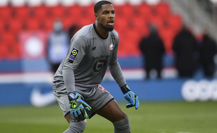 Mike Maignan va quitter le Losc pour découvrir l'Italie