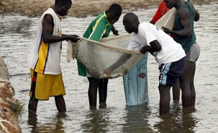 Les ressources halieutiques du Sénégal ont été l'objet d'un "pillage organisé" entre mars 2010 et avril 2012, avec des "autorisations illicites" de pêche accordées à des navires étrangers, a affirmé Greenpeace dans un rapport publié jeudi à Dakar.