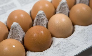 Des oeufs.