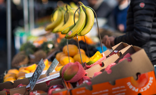 Bananes et mangues sont la matière première utilisée par Vegskin.