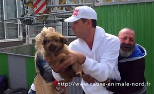 Capture d'écran de la vidéo qui met en cause Cause animale Nord.