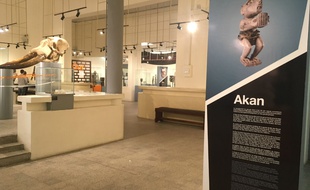 Le musée des Civilisations de Côte d'Ivoire, à Abidjan.