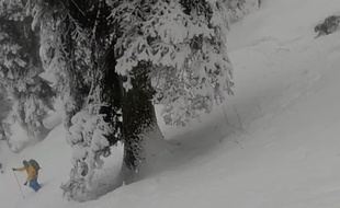 Des skieurs ont rencontré un léopard des neiges dans le nord de l'Inde.