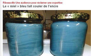 Capture d'écran du site des Dernières nouvelles d'Alsace.