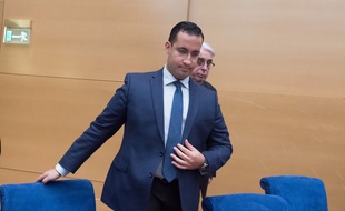 Alexandre Benalla, le 21 janvier 2019 lors de son audition devant la commission d'enquête du Sénat.