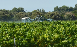 Des épandages de pesticides sont soupçonnés d'avoir provoqué des malaises dans une école de Villeneuve-de-Blaye en Gironde.