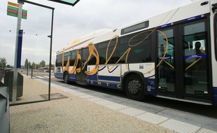 Bus arret de bus.
