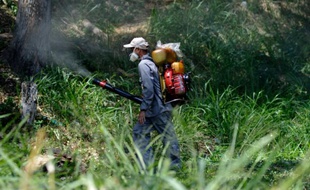 Un employé du ministère de la Santé vénézuélien désinfecte par fumigation des zones suceptibles d'accueillir des moustiques Aedes Aegypti, responsables de l'épidémie de Zika, le 28 janvier à Caracas