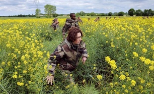 Un important dispositif, avec plus de 200 gendarmes et militaires et des dizaines de bénévoles, était mobilisé samedi en Charente-Maritime, à la recherche d'une fillette de 23 mois disparue vendredi en fin d'après-midi en zone rurale près du village de Moragne, a-t-on appris auprès du parquet et des gendarmes.
