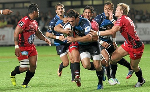 A l'image de Thomas Combezou, les Montpelliérains sont prêts au combat.