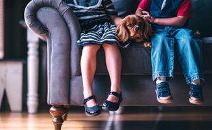Vers une garde alternée pour les animaux en cas de divorce en Espagne.
