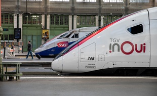 Deux TGV en gare de Lyon à Paris (image d'illustration).