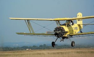 C'est un avion de ce type, utilisé pour déverser le produit de démoustication, qui s'est abîmé à Marsillargues