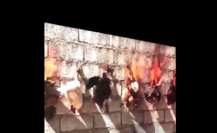 Adel Abdessemed a réalisé une vidéo mettant en scène des poulets en train de brûler au musée d'art contemporain de Lyon.