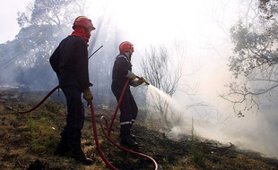 Illustration d'un incendie en Corse.