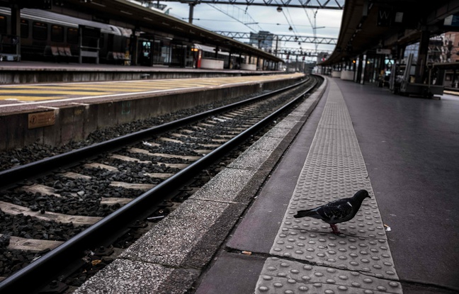 Moins de trains, des horaires ou arrêts modifiés... 2019 s'annonce «compliquée» sur le réseau TER en Auvergne Rhône-Alpes