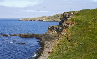 L'île de Grimsley offrira au voyageur la bouffée d'air pur dont il rêve.