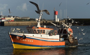 Illustration d'un bateau de pêche dans le port du Guilvinec.