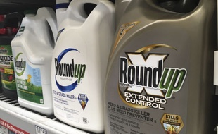 Le Roundup, de Monsanto, contient du glyphosate. Une substance sur la sellette depuis des mois.