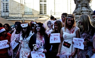 La marche des morts vivants devrait rassembler 3000 personnes environ.