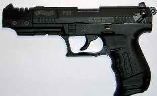 Un pistolet 22 long rifle (illustration).