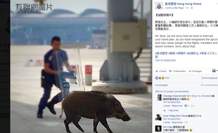 Capture d'écran compte Facebook 香港警察 Hong Kong Police 20 décembre 2016