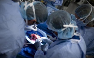 Transplantation d'un rein, le 26 juin 2012 dans un hôpital de Baltimore, aux Etats-Unis