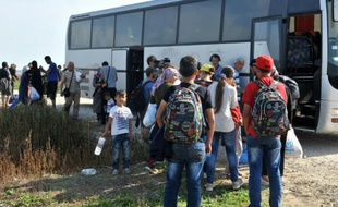 Des migrants près de Tovarnik à la frontière serbo-croate, le 16 septembre 2015