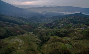 Rizières en terrasses près du village de Tiantou dans la région autonome de Guangxi Zhuang au sud de la Chine le 11 avril 2016