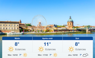 Météo Toulouse: Prévisions du lundi 15 février 2021