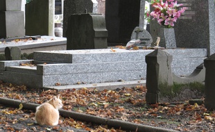 Illustration d'un cimetière.