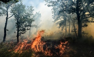 Le feu ravage Artigues, dans le Var