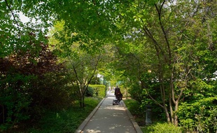 La promenade plantée, ou Coulée verte, dans le 12e arrondissement de Paris.
